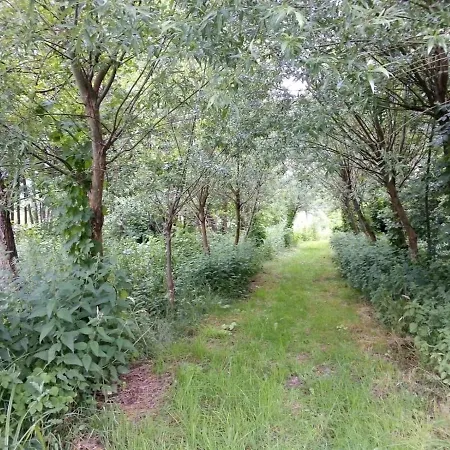 Brodnica 3* Brodnica Dolna