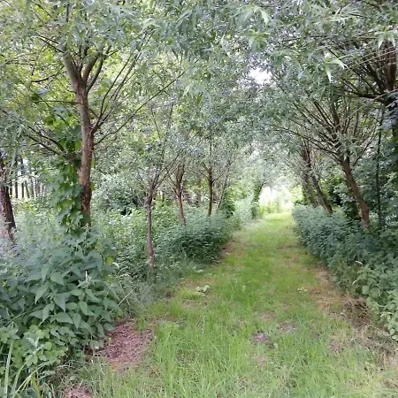 Brodnica * Brodnica Dolna