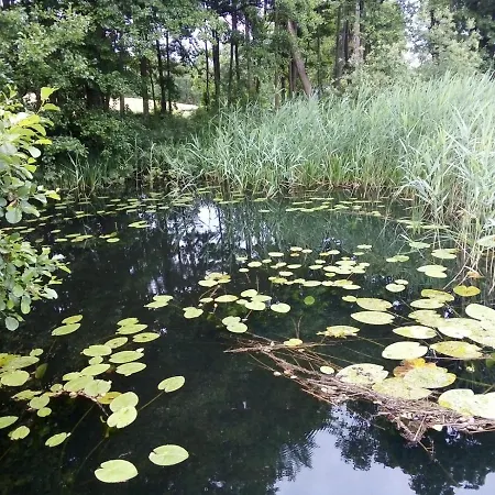 Brodnica 3*
