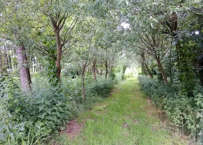 Brodnica 3* Brodnica Dolna